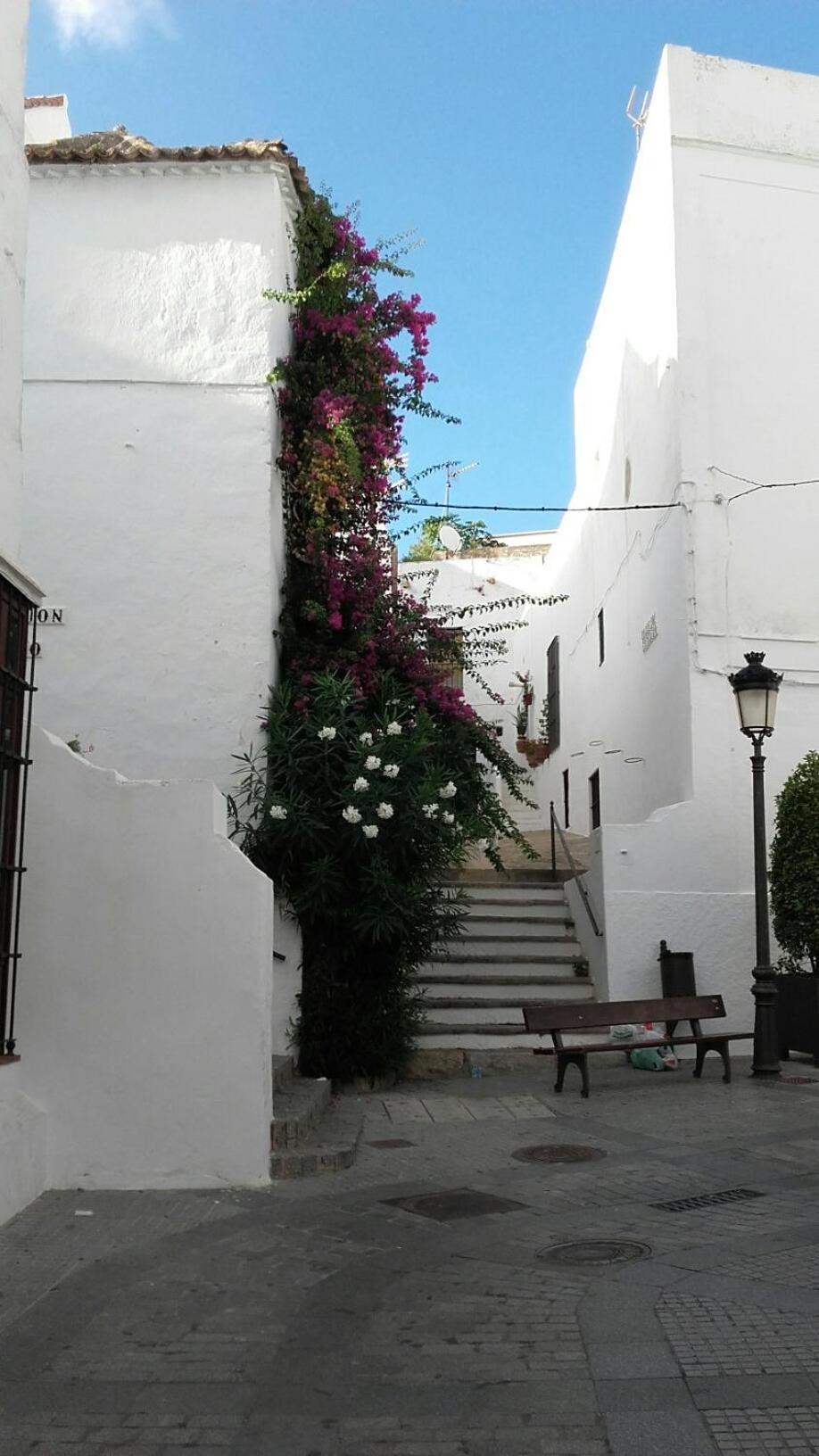 Casa Calle Alta Maria Bajo Vejer de la Frontera Esterno foto